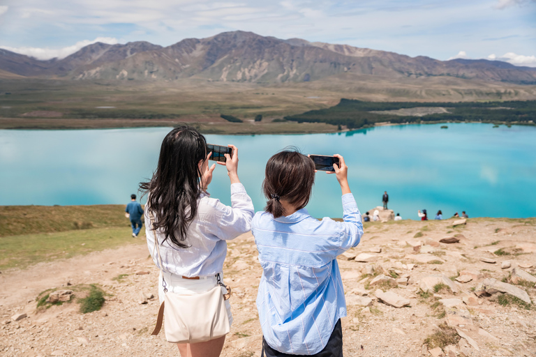 Lake Tekapo: Mount John Tour with Mandarin Guide