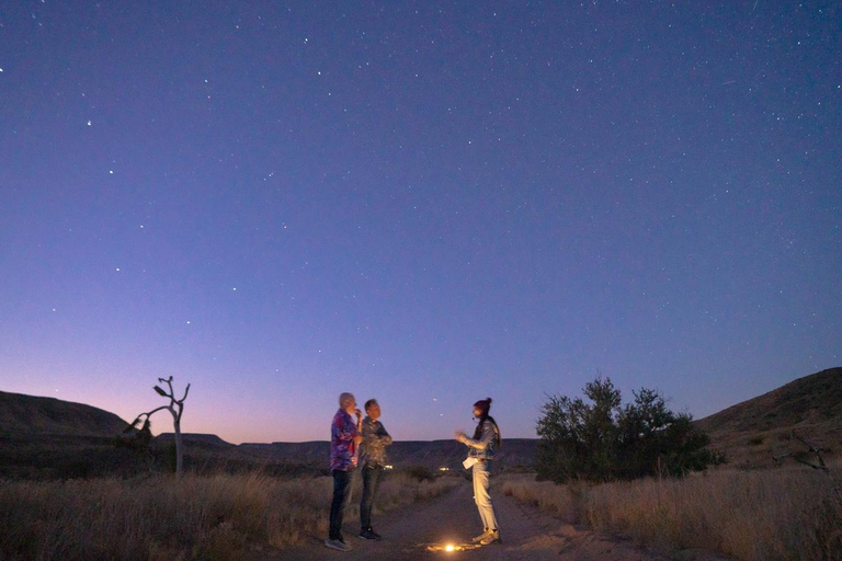 Joshua Tree, CA: Professional Stargazing Experience