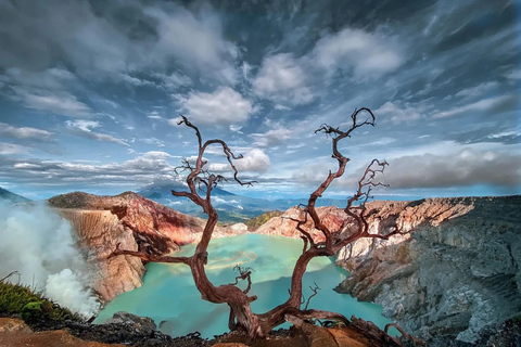 Banyuwangi : Mt Ijen with tour guide and Transfer Service