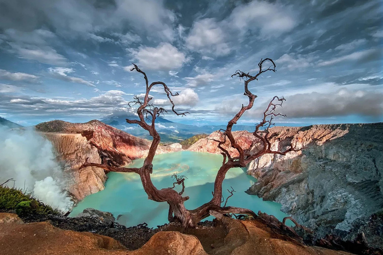 Banyuwangi : Mt Ijen with tour guide and Transfer Service