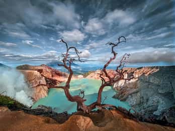 Banyuwangi : Mt Ijen with tour guide and Transfer Service