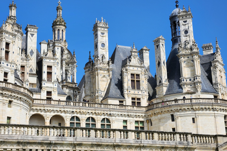 Loire Valley: Leonardo da Vinci & Renaissance Castles Tour Premium Minivan (2–6 PX)