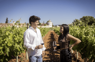 Valencia: Requena-Weingut-Tour mit Weinprobe und Snacks