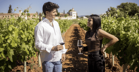 Valencia: Requena Winery Tour with Wine Tasting and Snacks