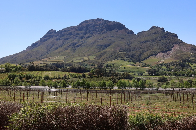 Excursión combinada privada de Table Mountain y Constantia Wine Estate