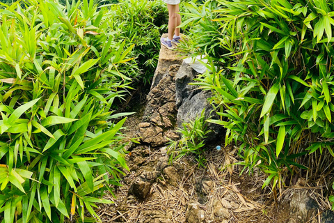 Half day Hiking Cat Ba National Park With guide