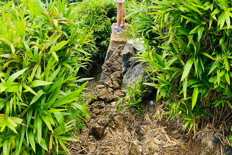 Half day Hiking Cat Ba National Park With guide