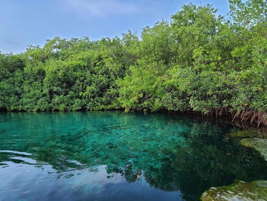 scuba diving tulum beginners