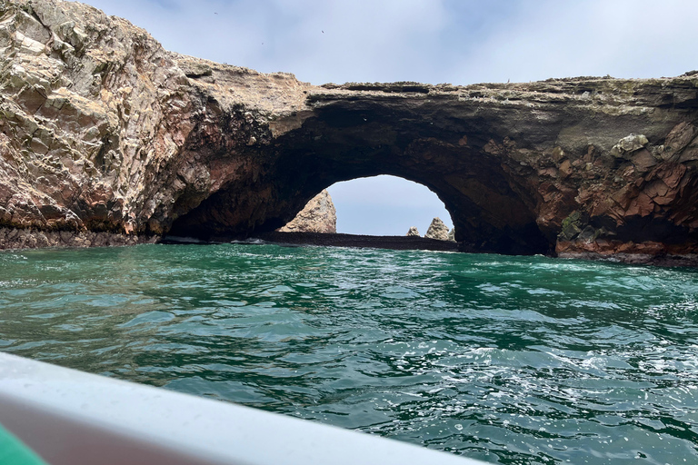 From Ica: Ballestas Islands and Paracas National Reserve. Private from Ica: Ballestas Islands and Paracas National Reserve.