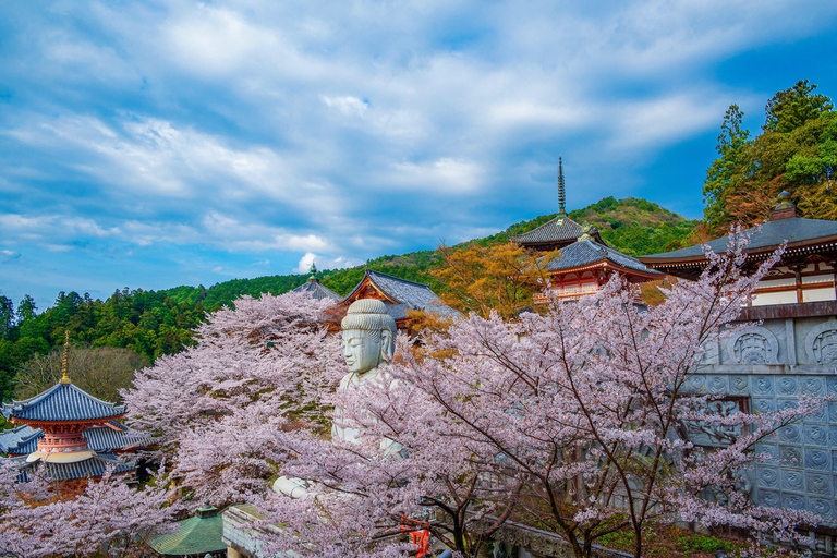 Nara Cherry Blossom Highlights Spring Day Tour from Osaka Shared Tour, Meet at Tsurutontan Soemoncho