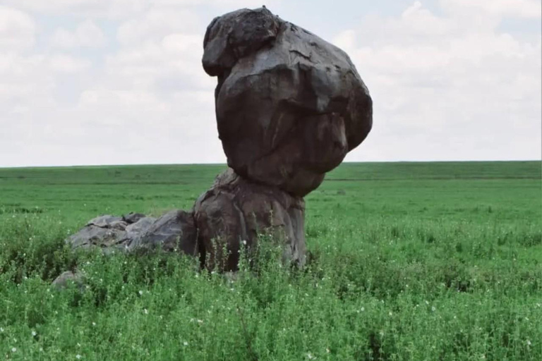 Explore Arusha National Park in Day Tour