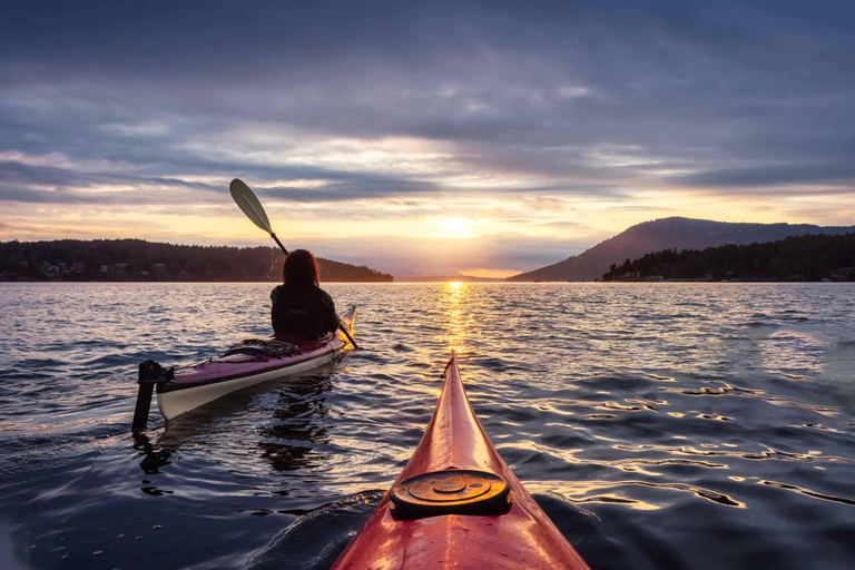 Mirissa: Blue Whale Watching & River Kayaking Combo Tour