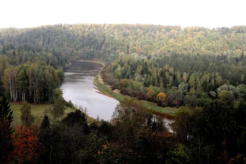 Randonnée dans le parc national de la Gauja - Sigulda