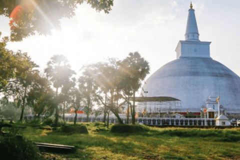 Sri Lankas kulturelles Herz in 5 Tagen erforschen