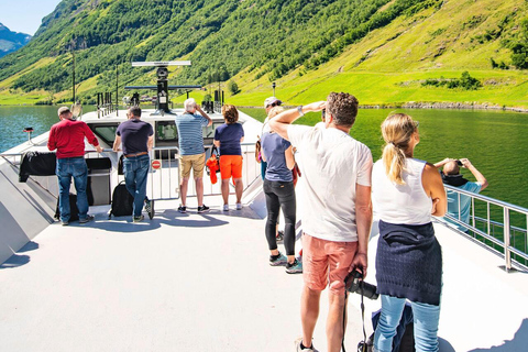 Excursión privada de un día - Ferrocarril de Flam y crucero por los fiordos desde Bergen