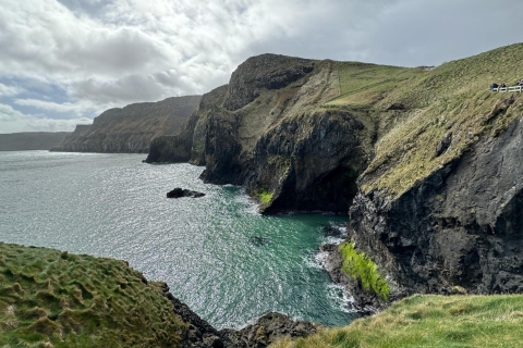 From Belfast: Carrick A Rede Ropebridge Private Tour