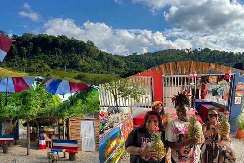Puerto Plata: Monkey Jungle & City Tour Experience