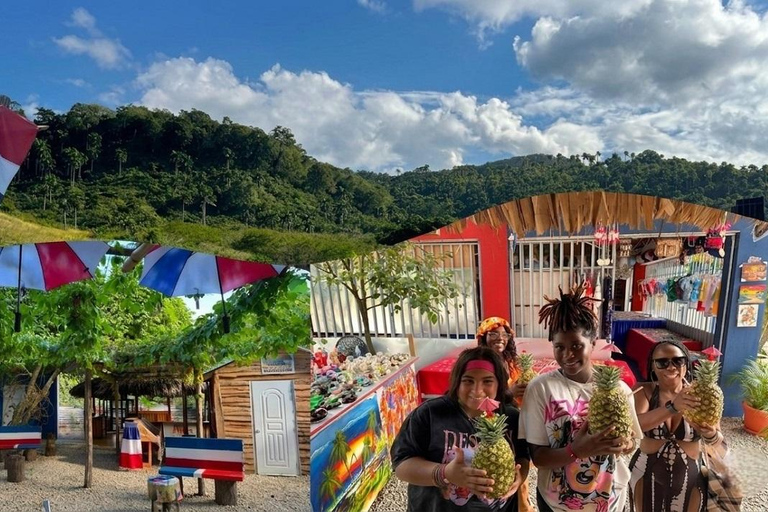 Puerto Plata: Monkey Jungle & City Tour Experience