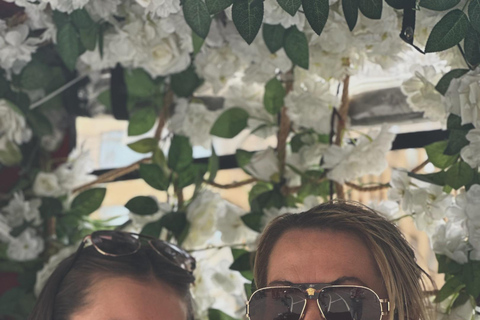 NYC : Visite guidée de Central Park en cyclo-pousse