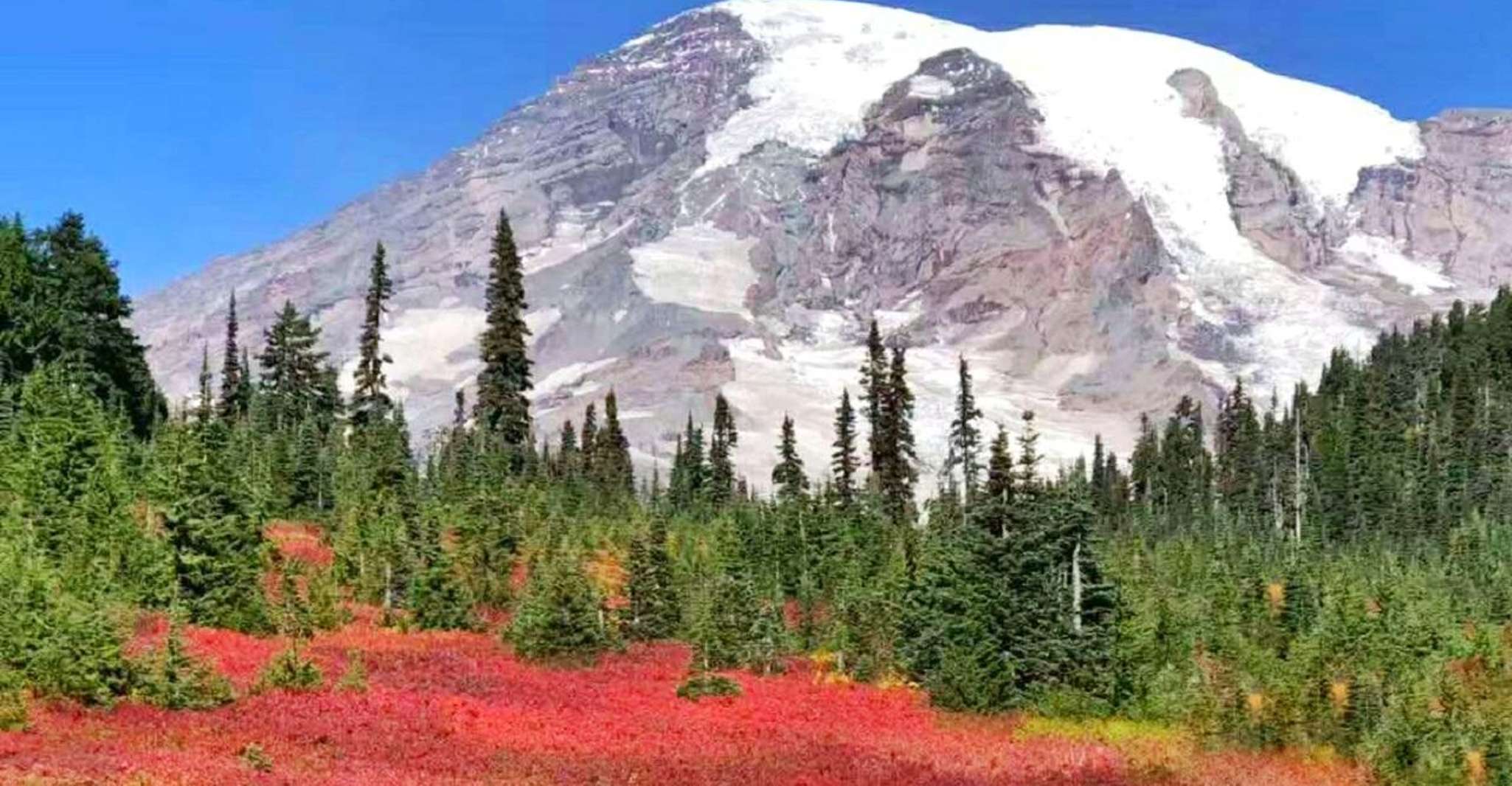 Mount Rainier National Park 1-Day Tour from Seattle - Housity