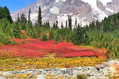 From Seattle: Mount Rainier Guided Day Tour
