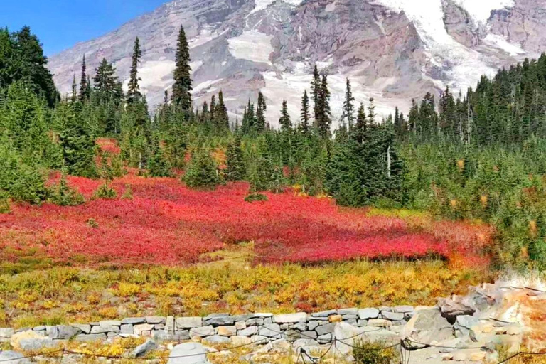 From Seattle: Mount Rainier Guided Day Tour