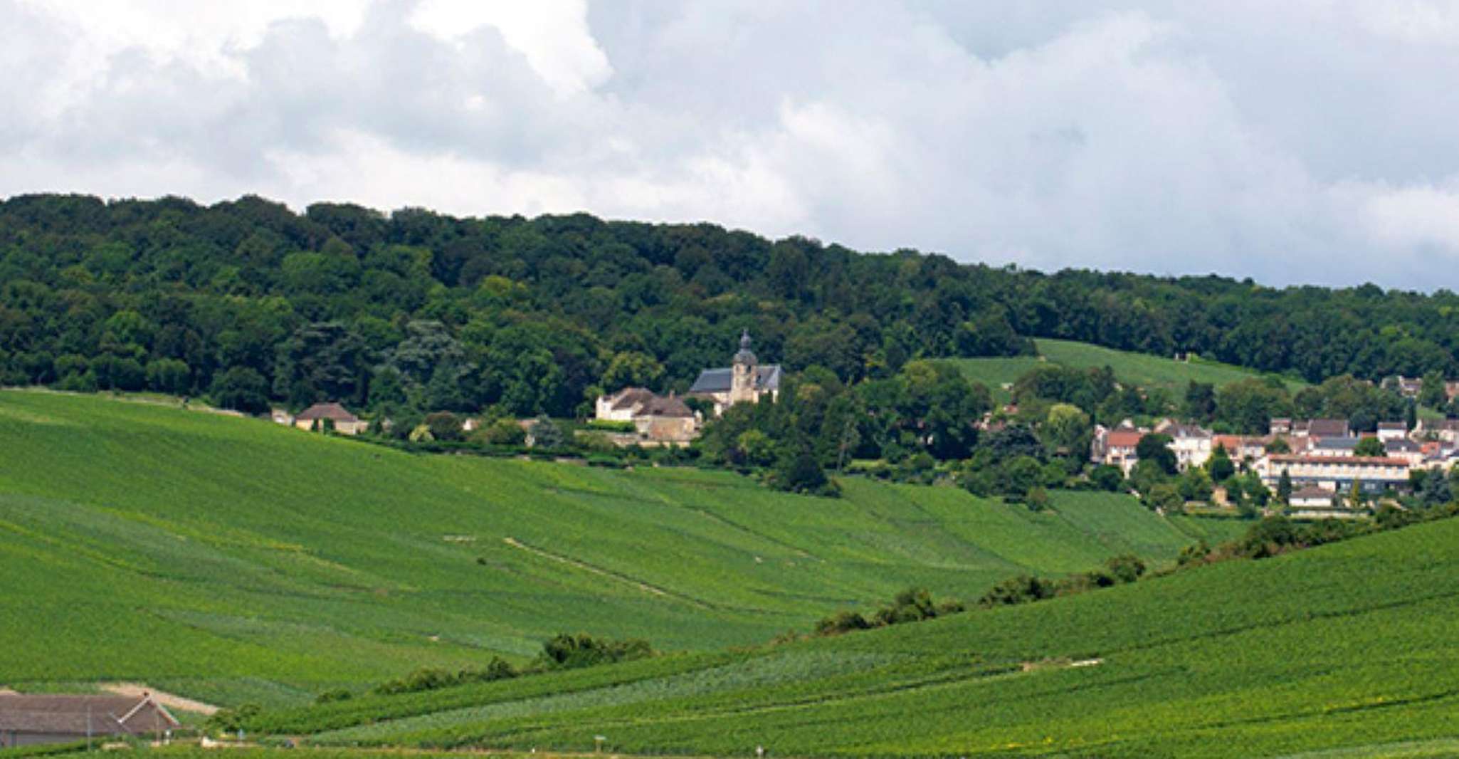 Marne, Champagne Region Private Day Tour with Lunch - Housity