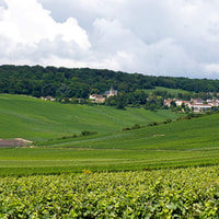 Marne, Champagne Region Private Day Tour met lunch - Housity