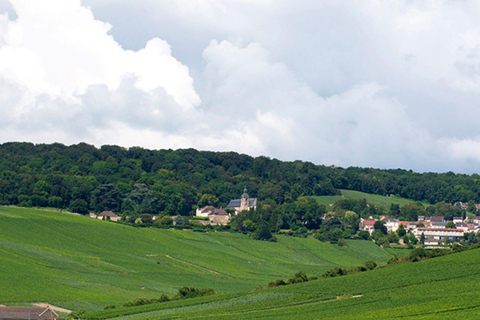 Marne: Champagne-regionen Privat dagstur med lunch