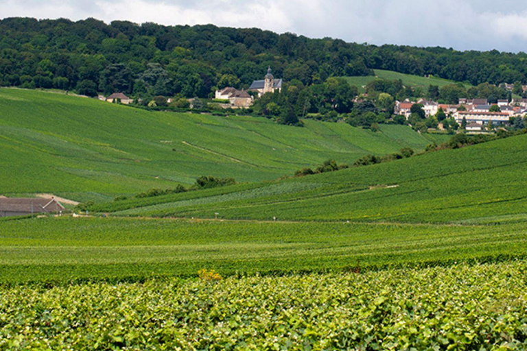 Marne: Region Szampanii - wycieczka prywatna z lunchem