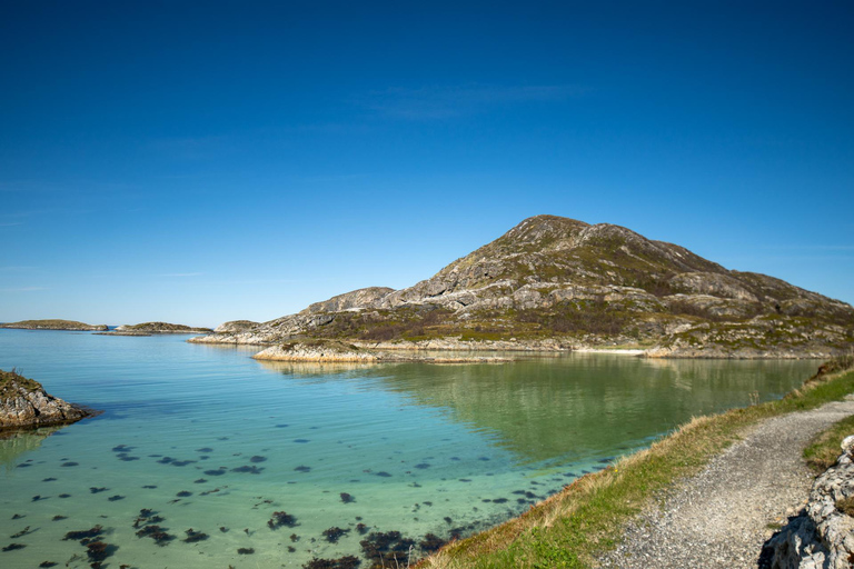 Tromsø: Fjord Adventure with Lunch and Photos Tromsø: Fjord Minibus Tour with Lunch and Free Photos