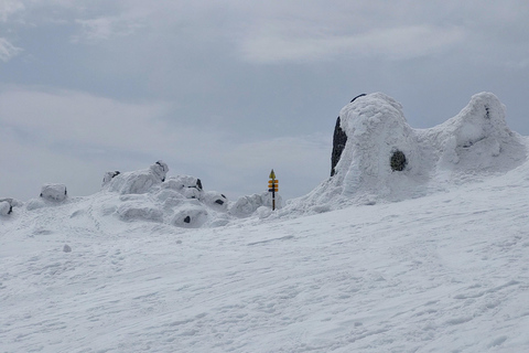 Sofia from above: Vitosha Mountain Private Hike
