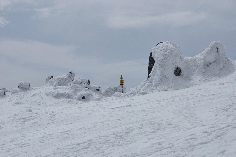 Sofia from above: Vitosha Mountain Private Hike