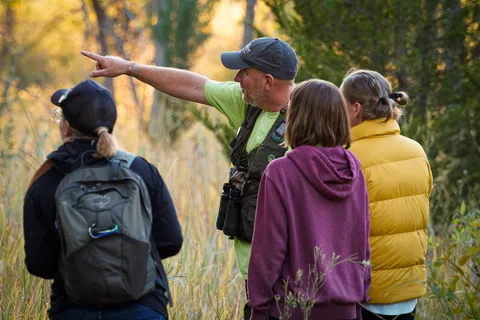 Denver: Rocky Mountain National Park Wildlife Tour