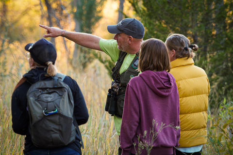 Denver: Excursión por la vida salvaje del Parque Nacional de las Montañas RocosasTour de medio día