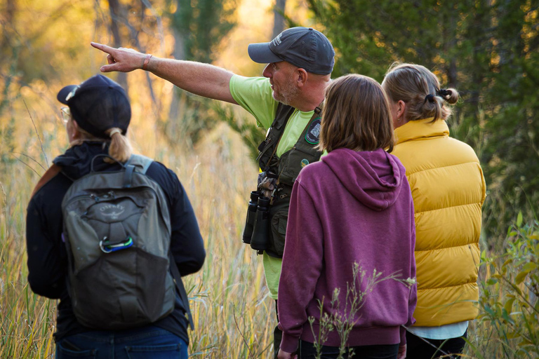 Denver: Rocky Mountain National Park Wildlife TourHalbtagestour