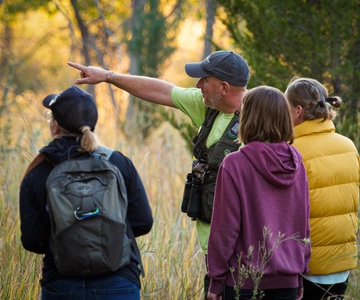 Denver: Rocky Mountain National Park Wildlife Tour