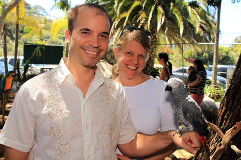 Puerto Plata: Ranch Tour with Monkeys Horseback ride & Buggy Puerto Plata: Hacienda Tour with Monkeys Horseback & Buggy