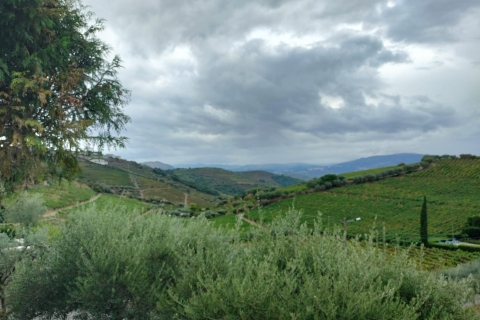 Private Douro Valley Premium Tour, Wine Cellar & Lunch Private Tour in English