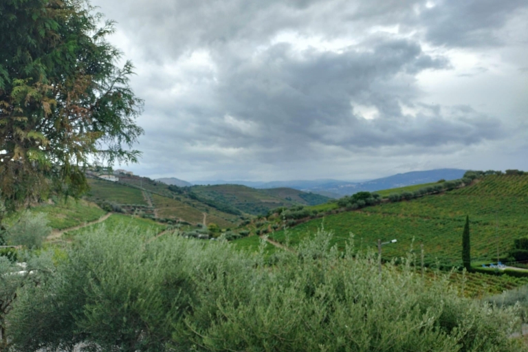 Prywatna wycieczka premium po dolinie Douro, piwnica z winami i lunchPrywatna wycieczka w języku angielskim