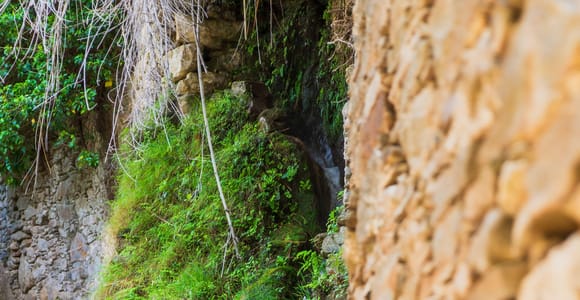 Naxos: Riverside Guided Trek