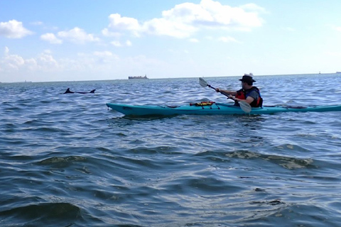 SS Selma Concreate Shipwreck | Historical WWI Landmark