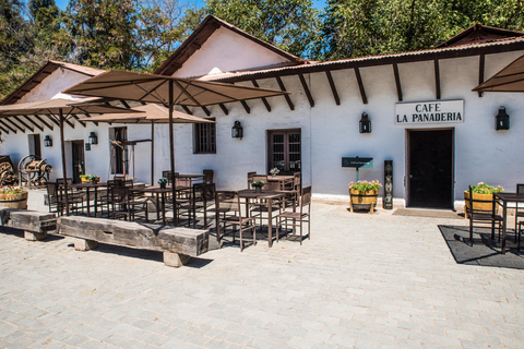 Santa Rita: Tour + Premium Wine Tasting + Private Transport