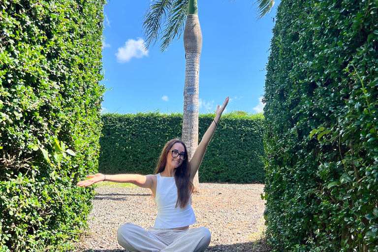 La Romana Half-Day Small Group Tour: Cave, Maze & Culture