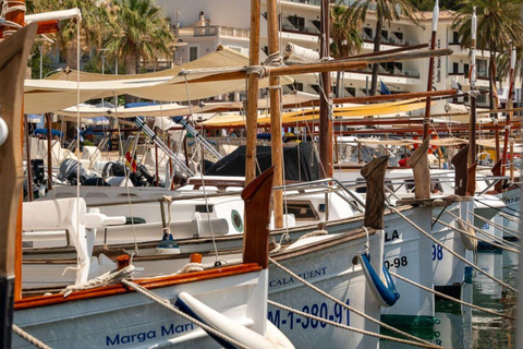 All of Mallorca: Exclusive Experience in an Intimate Group (12 people max.)
