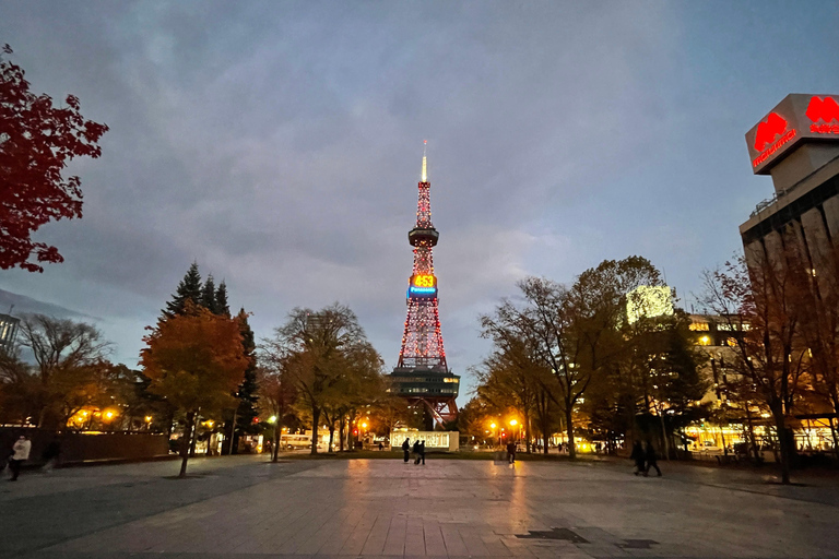 Sapporo: Illuminated Landmarks and TV Tower Night View Tour