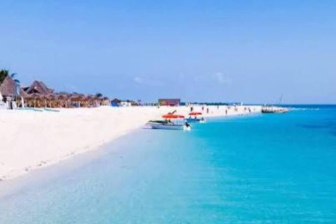 Zanzibar:Mnemba Dolphin Spotting+Aquarium+ Kendwa Beach Escp