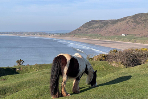 Liverpool: Snowdonia & North Wales Private Day Voyage