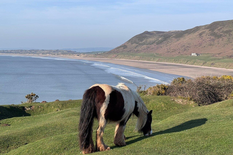 Liverpool: Snowdonia & North Wales Private Day Voyage
