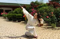 Esperienza da tè Shanghai, Taichi e Kunfu - Housity